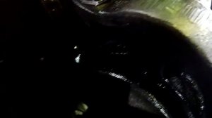 CUMMINS 14 select + РЕМОНТ СВОИМИ РУКАМИ! РАЗБОР ДВИГАТЕЛЯ. ИЩЕМ ЗАВОД. УСТАНОВ. МАРКИРОВКИ