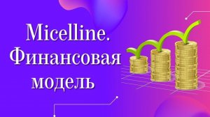 Финансовая модель компании Мицелайн