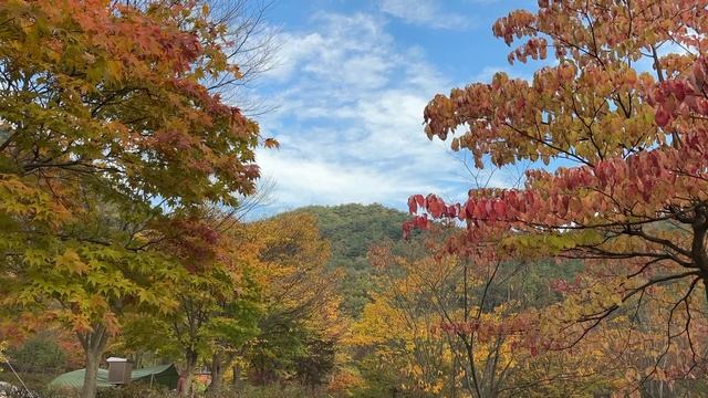 [솔로캠핑&등산] 은둔형 외향인의 화려한 외출 (feat. 단풍은 거들 뿐🍁) #혼산 #혼등 #솔캠