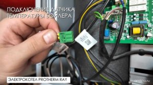 Подключение датчика температуры бойлера к электрокотлу Protherm Ray (Скат)