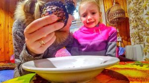 Маша плакала. Ищем соль для бассейна 3.05.19