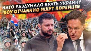 Украине громко и чётко отказали во вступлении в НАТО! ВСУ приказано добыть корейцев любой ценой!