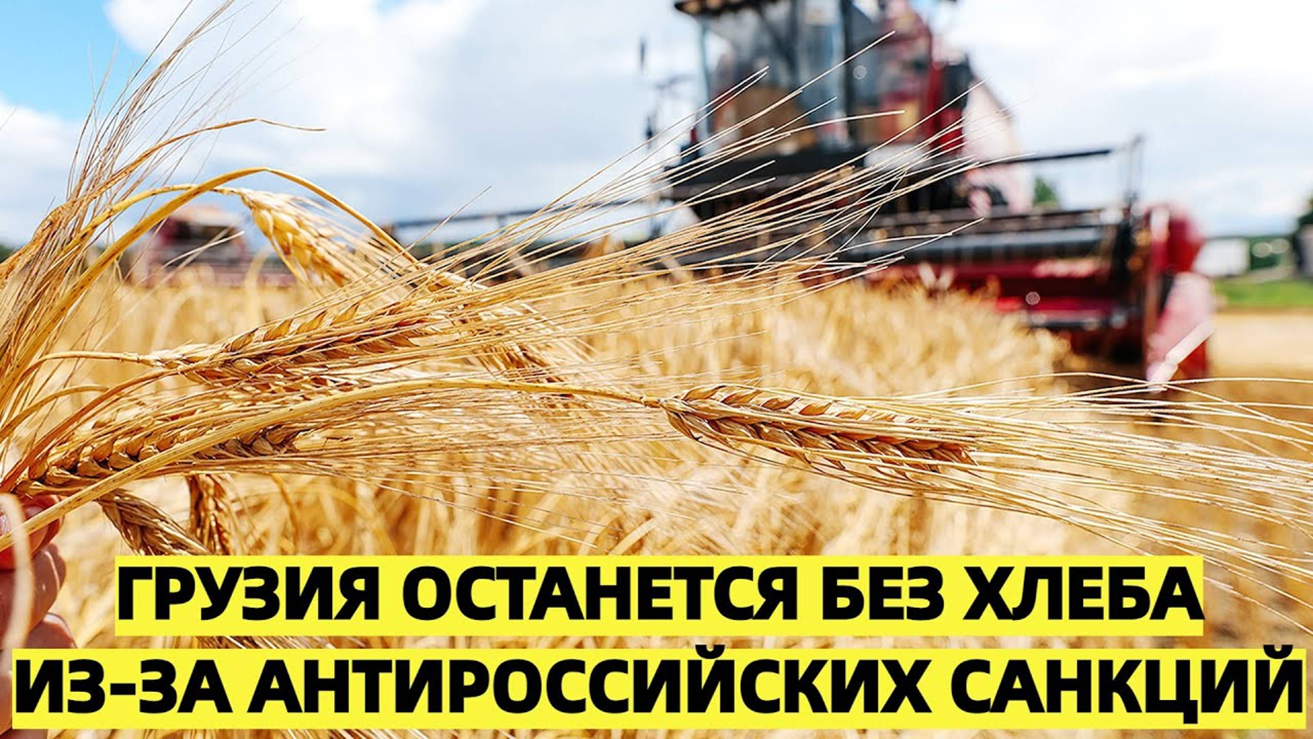 Грузия останется без хлеба из-за антироссийских санкций