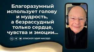 Благоразумный использует голову и мудрость, а безрассудный только сердце, чувства и эмоции...