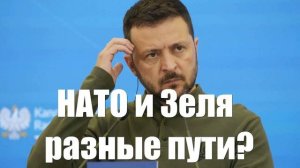 Планы НАТО и Зеленского начали конфликтовать