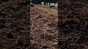 воздушная тревога в Орловской области