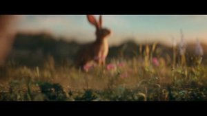 Белоснежка