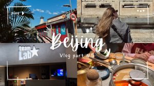 ПЕКИН влог #5: Иммерсивная выставка TeamLab // Храм неба / Нашли ПИНТЕРЕСТ кафе