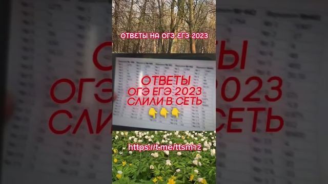 Ответы ОГЭ ЕГЭ 2023 #ответы #огэ #егэ #ответыогэ #ответыегэ