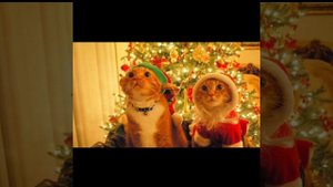 часть 1/10❄️❄️❄️