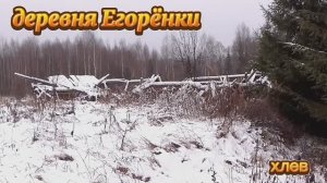 Деревня Егорёнки, хлев.mp4