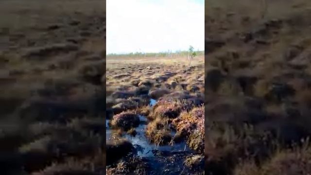 Самодельный гусеничный вездеход .Закрытие сизона .