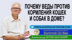 Почему Веды против кормления кошек и собак в доме?