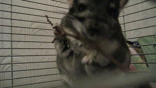 моя маленькая прелесть *) смотреть онлайн