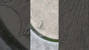 Смотреть мультик про бабочку