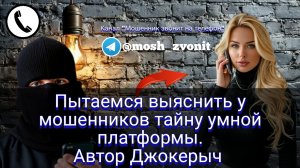 Пытаемся выяснить у мошенников тайну умной платформы. Автор Джокерыч