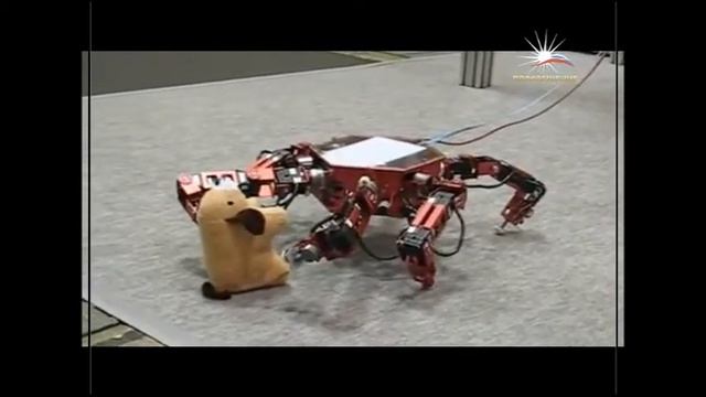 Роботы-животные