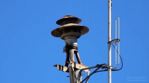 Darley 3V8 Outdoor Siren Test, Alert Signal - Jackson, GA 3/3/2021