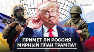 Возможны ли переговоры России и Украины на условиях «плана Келлога»?