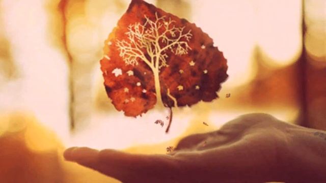 Перебирала струны Осень, смотреть онлайн