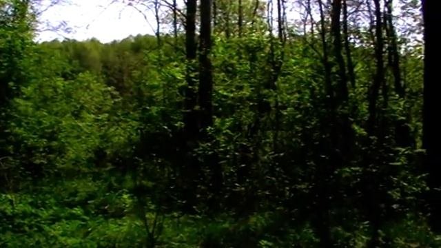 Ловля соловья