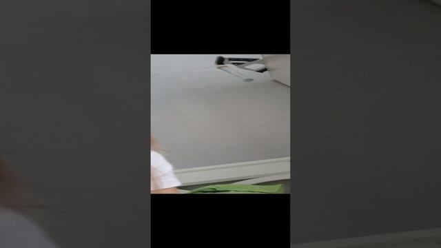 мои первые три дракона 