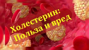 Холестерин: для чего он важен человеку?  Как можно помочь при помощи мицеллярных напитков.