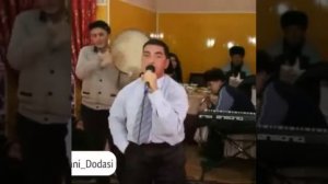 Алишер Файз янгиси