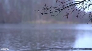 Вальс дождя! Самая красивая мелодия на свете! ВОССТАНОВЛЕНИЕ НЕРВНОЙ СИСТЕМЫ! ШИКАРНЫЙ СБОРНИК ПЕСЕ