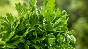 Истории из жизни - Диета и Ностальгия сердца...