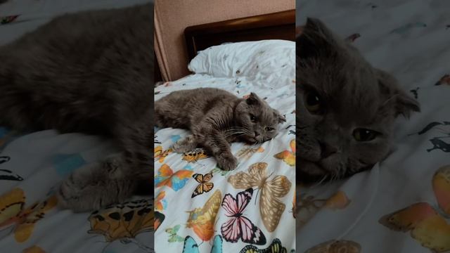 10 февраля 2024 г. смотреть онлайн