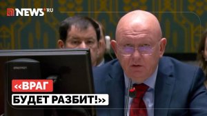 Небензя обвинил США и Украину в поддержке террористов в Сирии