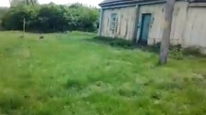 Чигла дом прабабушки Агафьи и прадеда Матфея Романовых