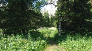 Гора Поперечная. Уральский Барс. Первый этап.