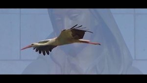 Песня об Узбекистане