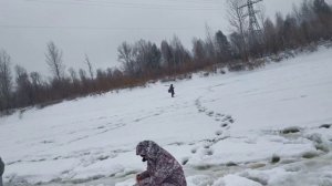 День ерша. Рыбалка на устье речки Шарьинка.