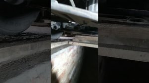 YouCut_20241204_151134686.mp4