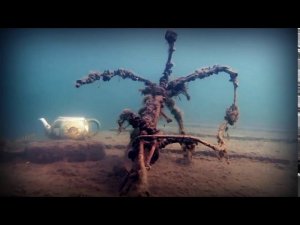 Дайвинг-лето Альфа-дайверов!