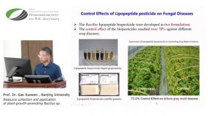 Resource collection and application of plant-growth-promoting Bacillus sp.