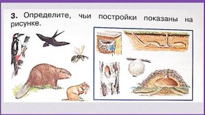 Как_живут_животные？_Окружающий_мир_1_класс_УМК_Школа_России_22_12