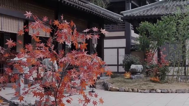 【ESP SUB】Epopeya de La Dinsatia Qin丨Qin Dynasty Epic - EP 06 (Historia antigua romance china) смотреть онлайн