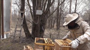 формирование семьи воспитательницы