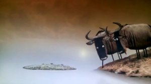 Оказался крокодил