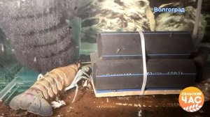 Раководство