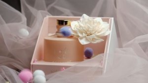 Шоурил студии Expert Image