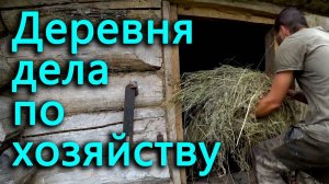 Деревенские дела и заботы, огород, животные, дом.