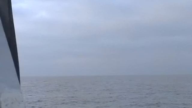 Работа, Гогланд Кроншатадт 2008 смотреть онлайн