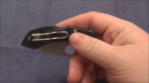 Knife Review 2018 | Spyderco Dragonfly 2