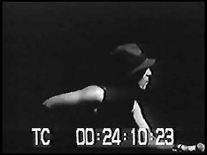 Alice Cooper . Gutter Cat.