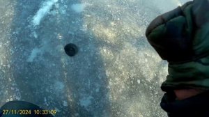 Леневка 27.11.2024 г. первый лед